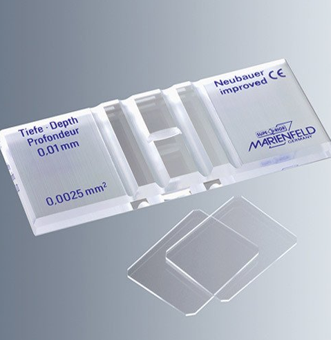 Neubauer-Improved Sayım Lamları